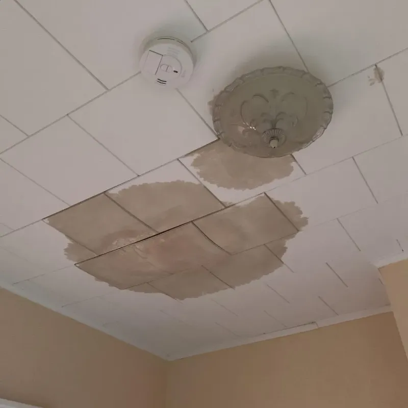 Ceiling Water Damage Repair in Franklinville, NY