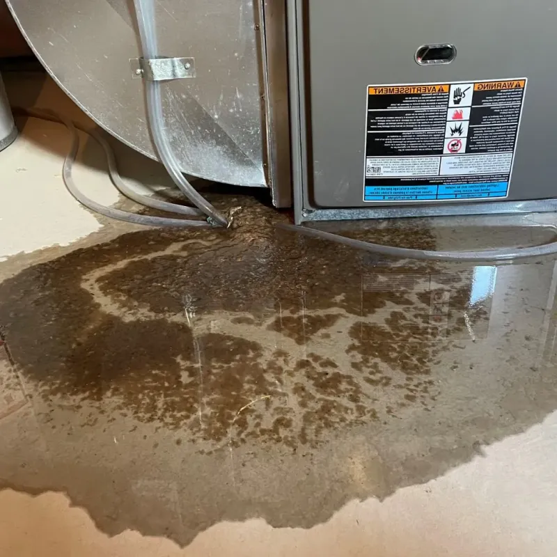 Pipe Burst and Leak Restoration in Franklinville, NY