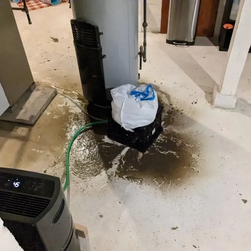 Sewage Backup Cleanup Service in Franklinville, NY